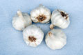 Dry Garlic Exporters
